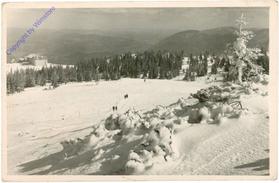 Rax, Raxplateau, Bergstation Raxbahn