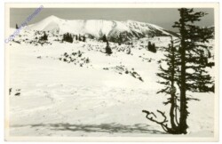 Rax, Raxplateau mit Schneeberg