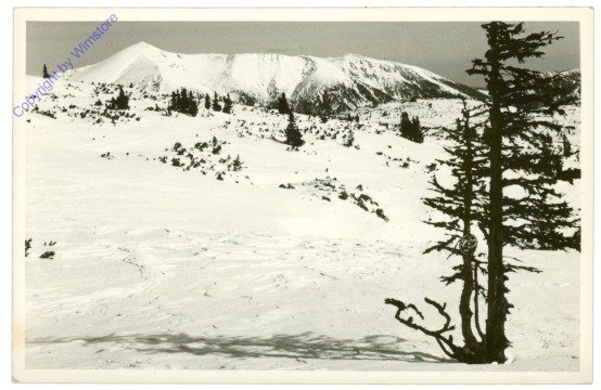 Rax, Raxplateau mit Schneeberg