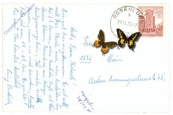 Rosenburg, Ortsansicht