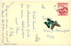 Rosenburg, Erholungsheim