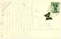 Schwarzau am Steinfeld, mit Schneeberg