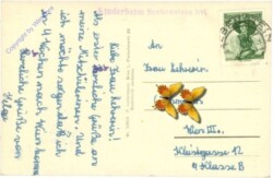 Seebenstein, Kindererholungsheim der Krankenfürsorgeanstalt