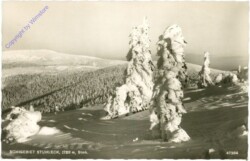 Semmering, Skigebiet Stuhleck