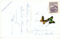 Semmering, Skigebiet Stuhleck