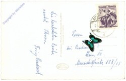 Semmering, Hotel Panhans u. Villenviertel gegen Schneeberg