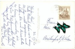 St. Corona, Blick auf Schneeberg