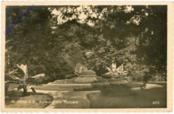 St. Pölten, Motiv aus dem Stadtpark