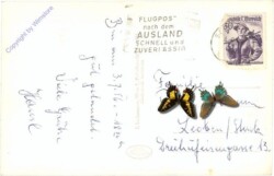 St. Pölten, Multiansicht