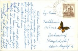 Theresienfeld, Landesberufsschule des Handels