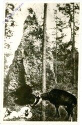 Trübenbach, Teufelskirche