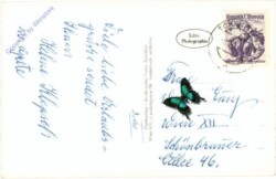 Türnitz, gegen Eibl