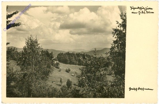Türnitz, Ansicht