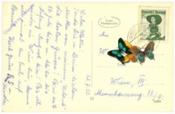ak211921a Waidhofen an der Thaya, Ortsansicht