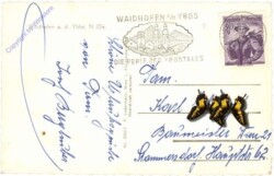 Waidhofen an der Ybbs, Ortsansicht