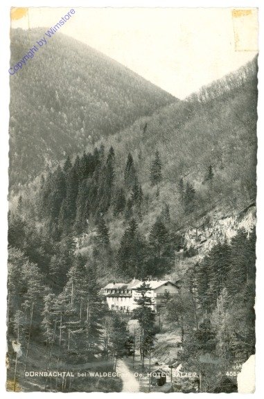 ak211928 Waldegg, Dürnbachtal, Hotel Salzer