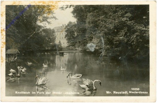 ak211965 Wiener Neustadt, Knollteich im Park der Militär-Akademie