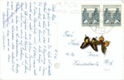 ak211970a Winzendorf, mit Hoher Wand