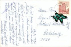 ak211980a Zöbern, Marienhof, Polizeierholungsheim