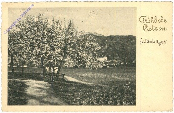 Blühender Baum