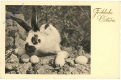 ak212015 Hase mit Ostereier