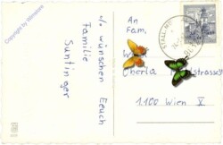 Hase musiziert mit Küken