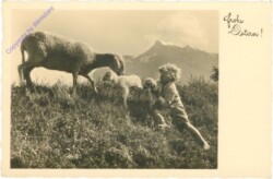 Kinder mit Schafen