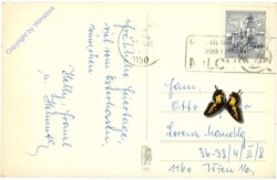 ak212021a Mädchen mit Lamm und Hasen
