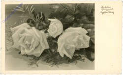 ak212033 Rosen, Geburtstag