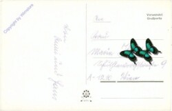 ak212039a Rosen, Namenstag