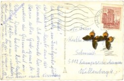 ak212051a Rosen, Namenstag