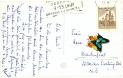 ak212053a Nelken, Namenstag