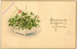 ak212065 Schale mit Glücksklee, Namenstag