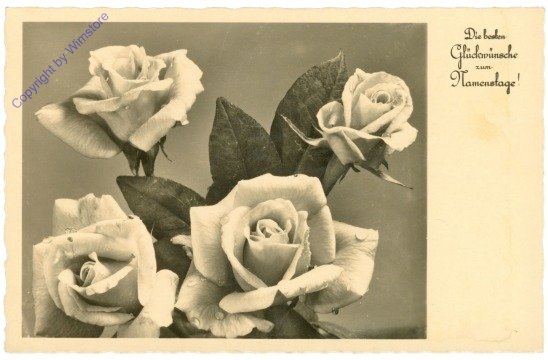 ak212073 Rosen, Namenstag