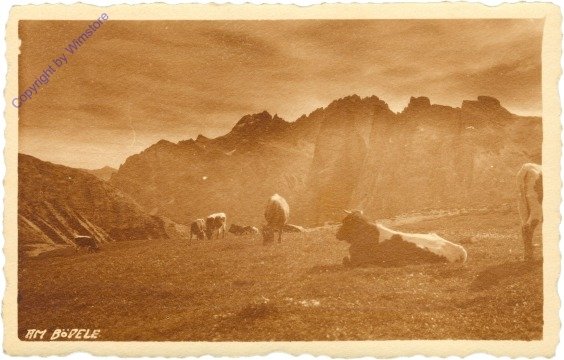 Schwarzenberg, Am Bödele