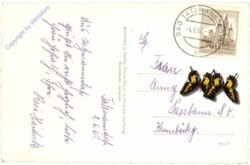 Bad Tatzmannsdorf, Ansicht