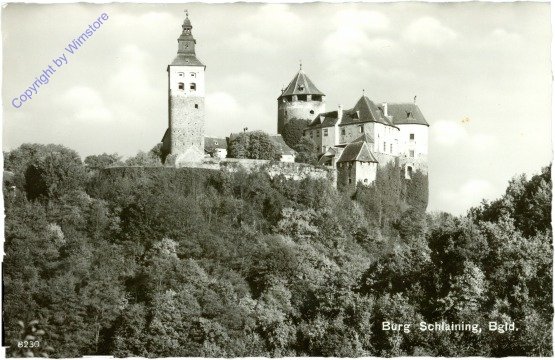 Stadtschlaining, Burg