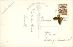 Großglockner, Hochalpenstrasse, Blick vom Pfalzkogel zum Fuschertörl