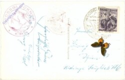 Großglockner, Hochalpenstrasse