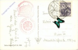 Großglockner, mit Hofmannskees und Pasterze