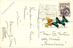 Hermagor, Abend am Presseggersee