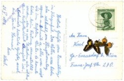 Klagenfurt, Neuer Platz mit Rathaus und Lindwurm