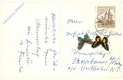 Kötschach-Mauthen, Mauthner-Klamm