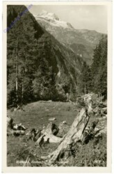 ak212383 Mallnitz, Seebachtal mit Ankogel