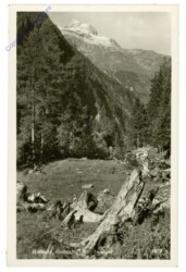 ak212384 Mallnitz, Seebachtal mit Ankogel