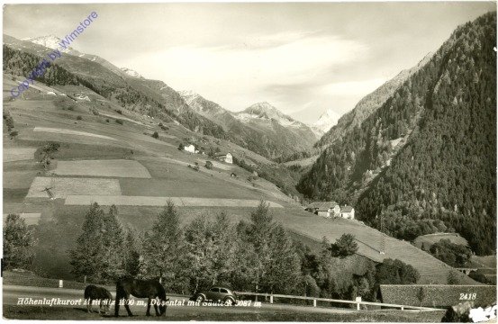 Mallnitz, Ansicht