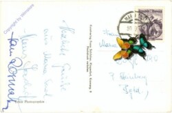 Maria Saal, Dom, Inneres