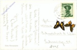 Maria Wörth, Ansicht