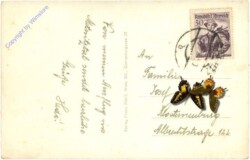 Metnitz, mit Hirschensteineralm