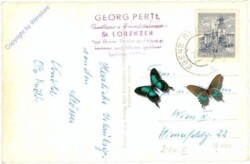 St. Lorenzen im Lesachtal, mit Krukenspitze